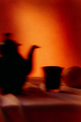 Luminous Amber Noir style reference image — stark silhouette