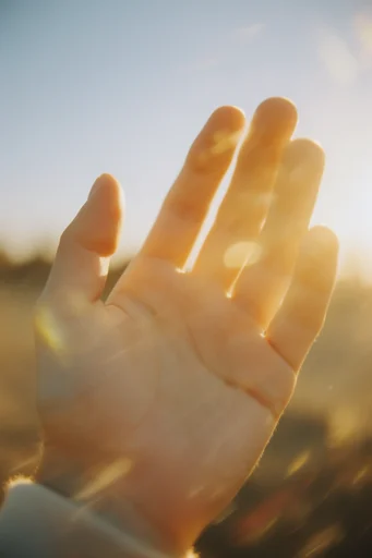 Sun-Drenched Analog Nostalgia style reference image — dramatic lens flare