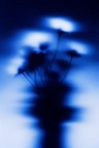 Nocturnal Analog Distortion style reference image — reeded glass refraction