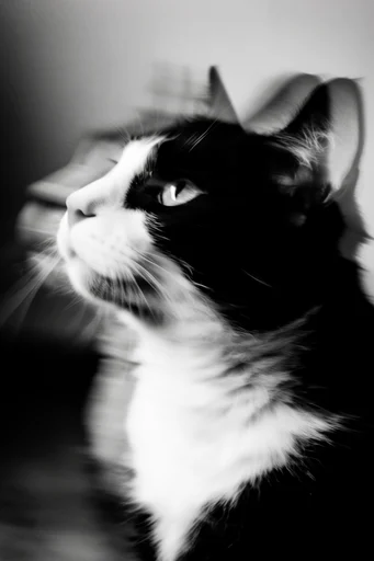 Spectral Urban Kineticism style reference image — silver gelatin print aesthetic