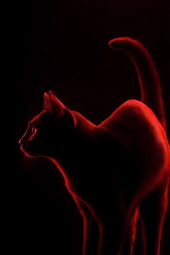 Cinematic Neon Noir style reference image — neon noir