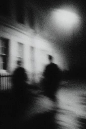 Ethereal Motion Noir style reference image — high-contrast monochrome