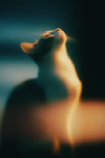 Cinematic Nocturnal Melancholy style reference image — dreamy motion blur