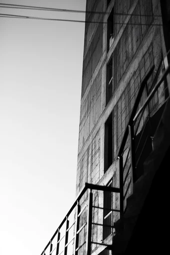 Graphic Monochrome Minimalism style reference image — high-contrast monochrome