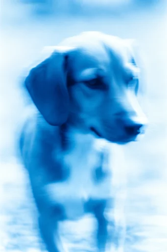 Spectral Glacial Motion style reference image — high contrast cool tones