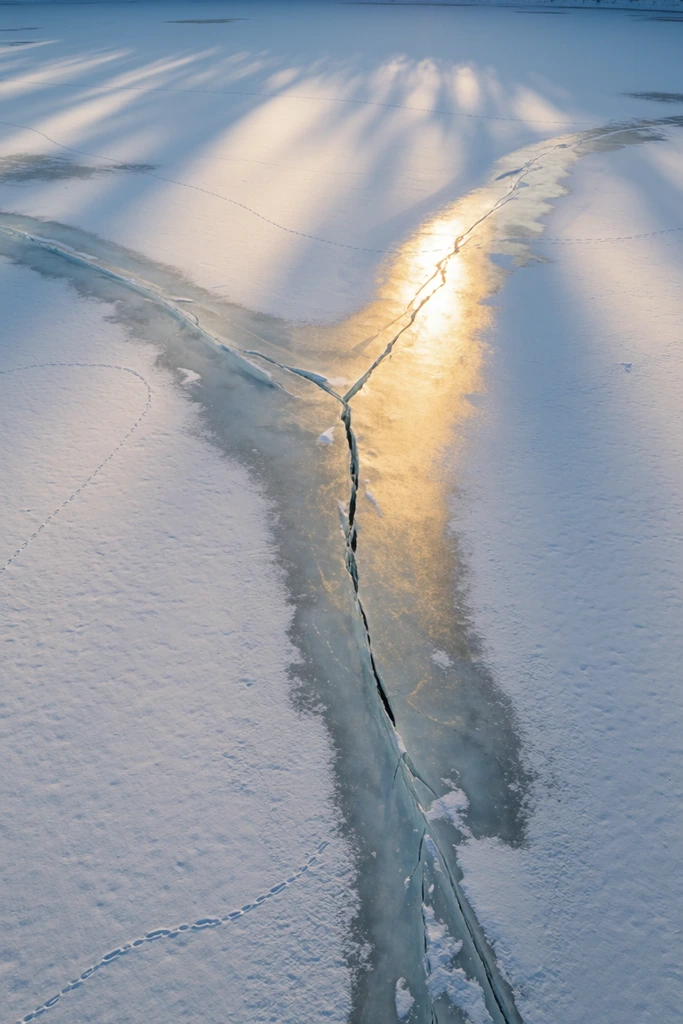 aerial view of a snow-covered frozen lake, large Y-shaped ice fissure reflecting brilliant golden sunlight, long soft shadows on textured white snow, faint animal tracks, minimalist abstract landscape, cool blue and warm gold contrast
