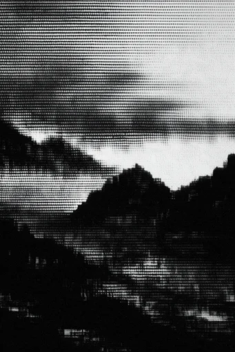 Corrupted Analog Noir style reference image — high contrast monochrome