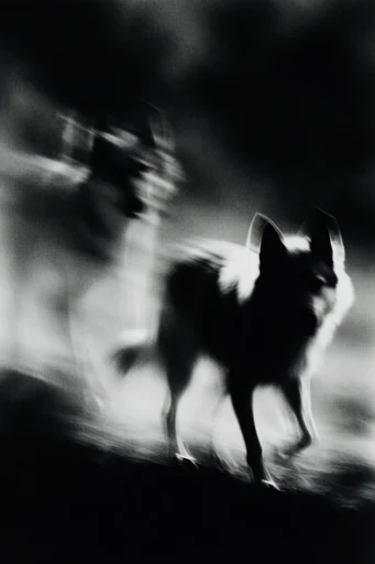 Ethereal Noir Motion style AI image example 3