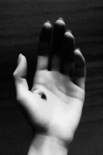 Cinematic Monochrome Noir style reference image — dramatic chiaroscuro
