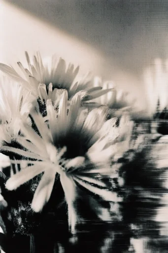 Spectral Glitch Noir style reference image — heavy film grain