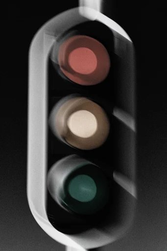 Spectral Kinetic Monochrome style reference image — high-contrast black and white