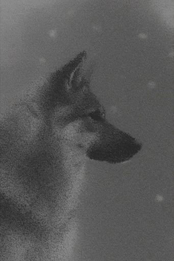 Atmospheric Monochromatic Noir style reference image — soft-focus silhouette