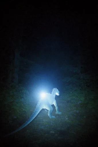 Spectral Nocturnal Luminescence style reference image — liminal space