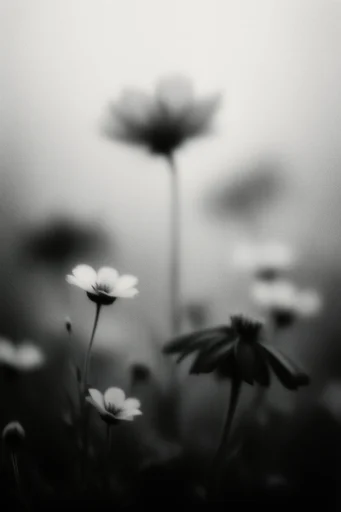 Atmospheric Monochrome Pictorialism style reference image — liminal space