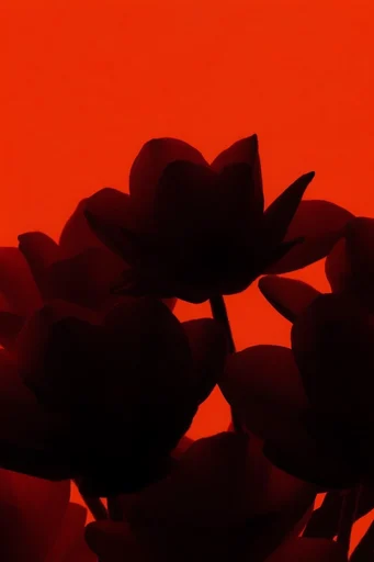 Cinematic Amber Silhouette style reference image — cinematic noir atmosphere