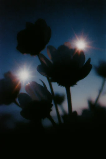 Ethereal Nocturnal Blur style reference image — experimental darkroom aesthetic
