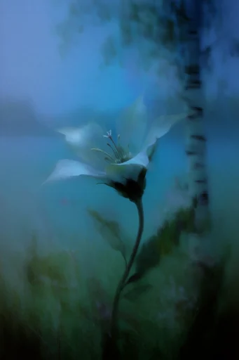 Atmospheric Melancholic Liminality style reference image — liminal space photography