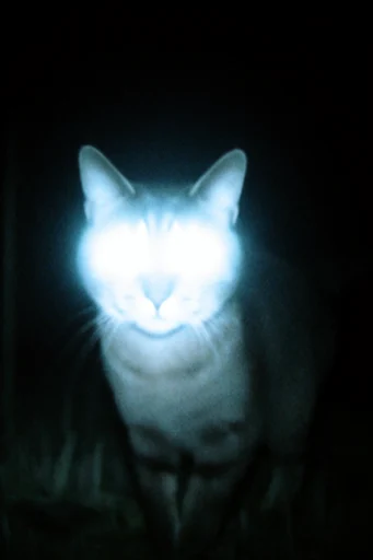 Spectral Nocturnal Luminescence style reference image — ethereal luminescence