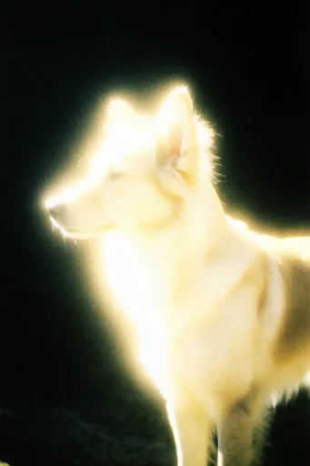 Ethereal Spectral Chiaroscuro style reference image — mysterious halation