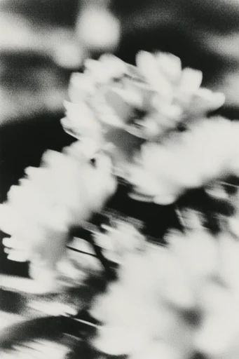 Kinetic Noir Abstraction style reference image — lo-fi darkroom texture