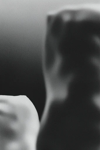 Tactile Cinematic Noir style reference image — monochrome high contrast