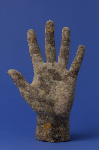 Tactile Surreal Topography style reference image — soft diffused studio lighting