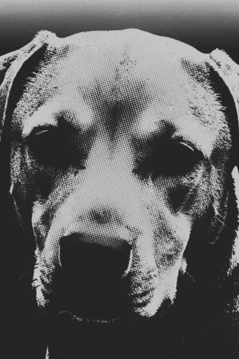 Gritty Analog Noir style reference image — high-contrast black and white