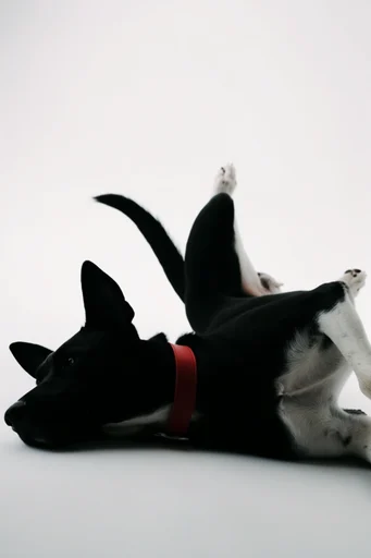 Stark Sculptural Surrealism style reference image — hard lighting
