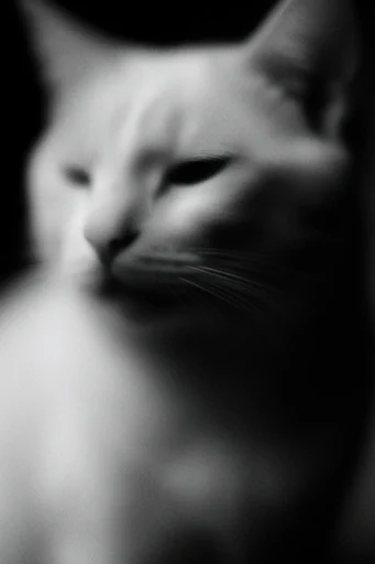 Spectral Monochrome Motion style reference image — dreamlike haze