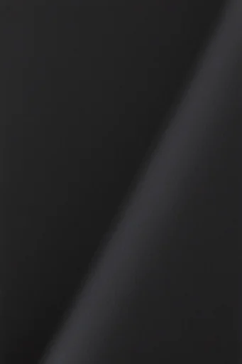 Atmospheric Charcoal Minimalism style reference image — matte texture