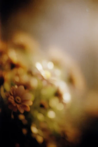 Dreamlike Analog Nostalgia style reference image — soft-focus silhouette