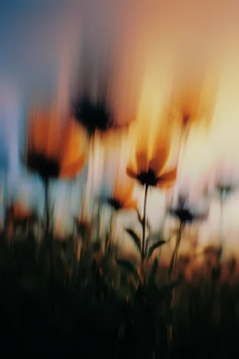 Amber Kinetic Nostalgia style reference image — ethereal light leaks