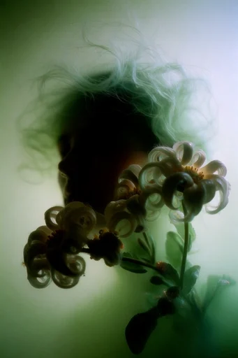 Spectral Sage Silhouette style reference image — cinematic low-key lighting