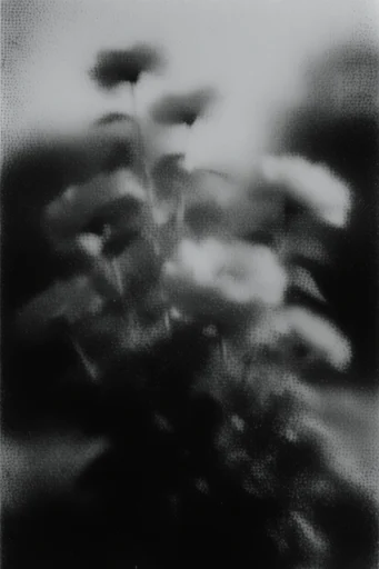 Atmospheric Monochrome Grain style reference image — lo-fi noir