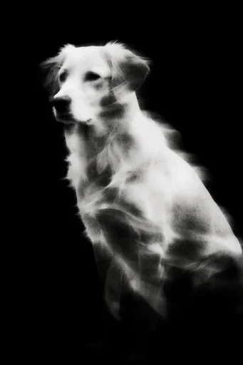 Spectral Obsidian Radiance style reference image — soft-focus diffusion