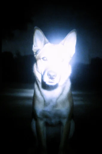 Spectral Nocturnal Luminescence style reference image — uncanny atmosphere