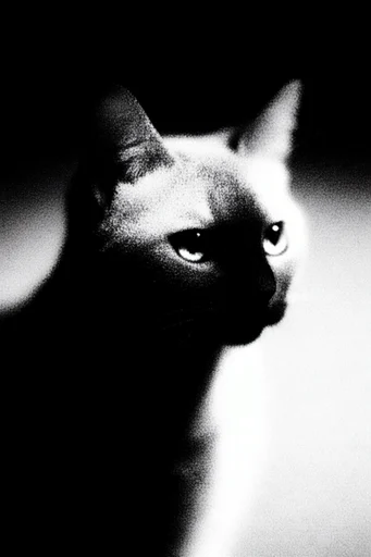 Gritty Chiaroscuro Noir style reference image — lo-fi xerox aesthetic