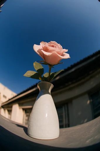 Hyper-Distorted Urban Street style reference image — extreme low-angle perspective