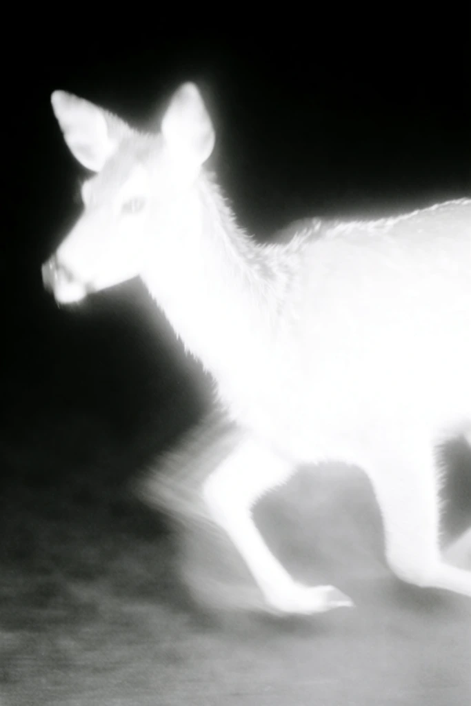 Spectral Monochrome Halation style AI image example 3