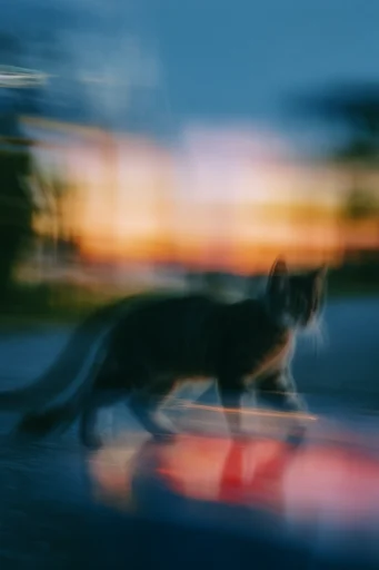 Kinetic Nocturnal Impressionism style reference image — cinematic night atmosphere