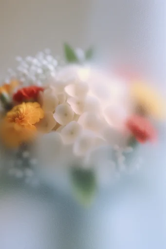Tactile Ethereal Obscura style reference image — minimalist surrealism