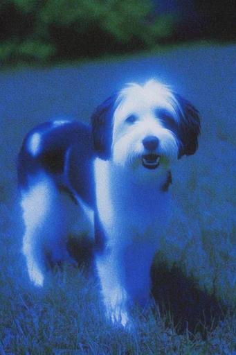 Ethereal Cyber Nostalgia style reference image — surreal lens flare