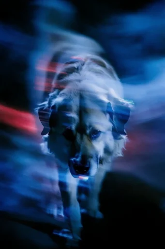 Spectral Nocturnal Motion style reference image — nocturnal atmospheric mystery