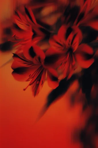 Crimson Kinetic Surrealism style reference image — motion blur
