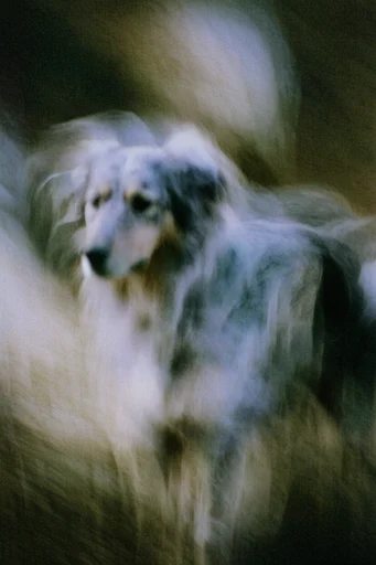 Ethereal Blurred Impressionism style reference image — low-resolution aesthetic