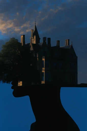 Ethereal Cyan Silhouette style AI image example 4