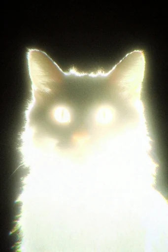 Spectral Neon Luminescence style reference image — high-contrast silhouette