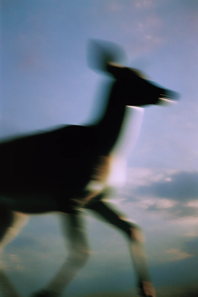Ethereal Analog Nostalgia style AI image example 3