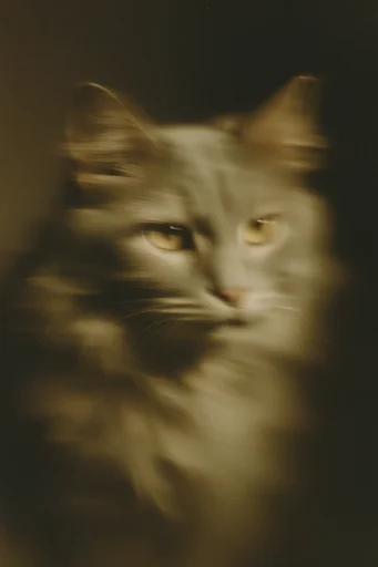 Spectral Amber Pictorialism style reference image — pictorialist aesthetic