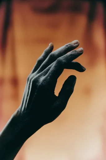Cinematic Avant-Garde Noir style reference image — minimalist editorial